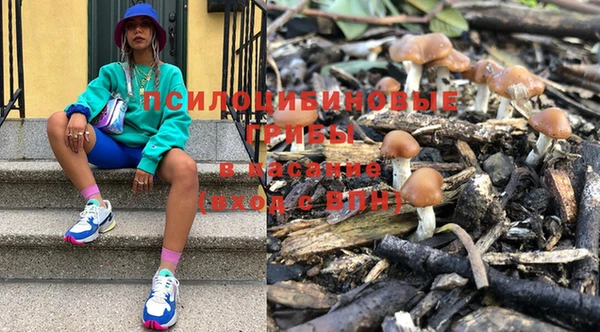 гидра Алексеевка